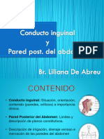 11 Conducto Inguinal y Pared Posterolateral Del Abdomen