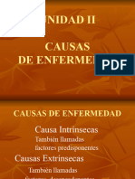 Causas de Enfermedad