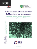 Relatorio Sobre A Cadeia de Valor Da Macadamia em Mocambique Acamoz Nitidae