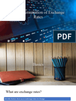 The Determination of Exchange Rates