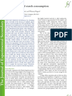 Sugar Uptake and Starch Consumption in Brassica Rapa