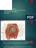 Appareil Digestive