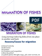 Migration of Fishes 1