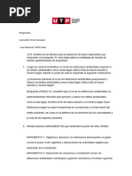 Entrega de La PC2 Texto Argumentativo