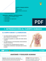 Estructura y Función Del Cuerpo Humano