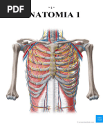 Anatomia Completa Por Sebastian Toledo.