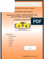 Business Plan Ibsa2011