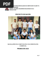 Proyecto de Nacion 1