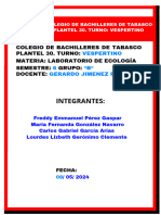 Practica 1 Ecología, Sustentabilidad y Desarrollo - 20240213 - 002319 - 0000.pdf - 20240508 - 035740 - 0000