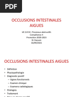 UE 2.8 S3 Hassam Occlusions Intestinales Aigues 2021-2022