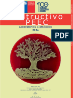 Instructivo Peec 2024 v15