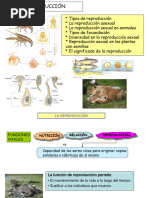 Tema Funciones de Reproduccion