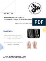 Columna Vertebral