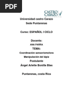 Coordinacion Sensoriomotor y Manipulacion Del Lapiz