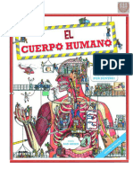 Conocemos El Maravilloso Mundo Del Cuerpo Humano