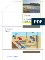 06 Circulation System
