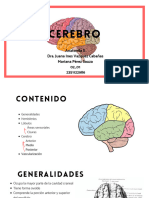 Cerebro