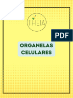 ORGANELAS CELULARES V9ogjr