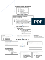 Esquema Audiencia Primera Declaración