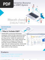 Netsuite ERP