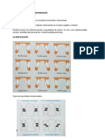 Maloclusiones Transversales - Ramos