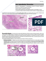 Histología - Sistemas Reproductores