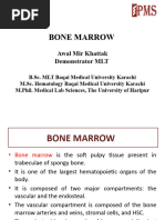 Lecture-2 Bone Marrow Structure and Functions