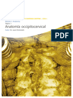 Anatomia Occipitocervical