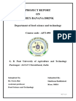 Whey Banana Drink ELP Project Report Shubham Budhlakoti 56814