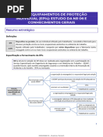 NR 06 Resumo