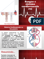 8º Ano - Sistema Cardiovascular e Urinário