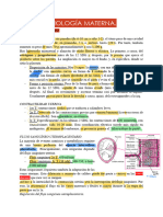 Fisiología Materna.