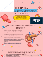 Pancreas Exposición Corregida