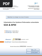 Rapport Pfe Urbanisation Soa BPM 2010