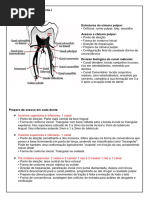 UNIUBE Endodontia I Benito Miranzi