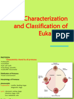 Char and Class of EUKARYOTES