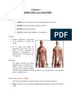 Introducción A La Anatomía