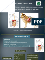 Digestivo M Vet 2024