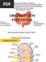 Obstrucción Intestinal 