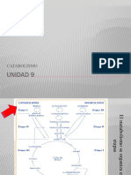 Unidad 9. Catabolismo - 2022