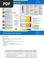 Drilling Vibration Management