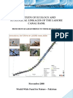 Final Report Lahore Canal 12-3-09