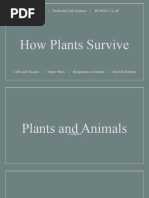 How Plants Survive: Group III - Earth and Life Science - Humss 1-2 Ap