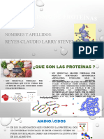 Exposicion Metabolismo de Proteinas