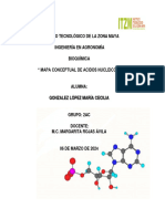 1.4 Gonzalez Lopez Ma - Cecilia Acidos Nucleicos..