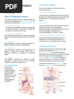 Fisiologia 00 - Introduã Ã o Dos Hormã Nios