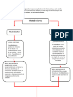 Actividad 2 Procesos Metabólicos