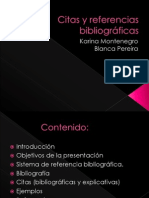 Citas y Referencias Bibliográficas