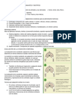 Resumen Unidad 1