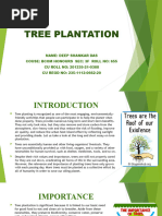 It Assignment Tree Plantation